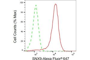 Flow cytometric analysis of SNX9 expression in HeLa cells using SNX9 antibody (ABIN7800412), 1:2,000). (SNX9 Antikörper)