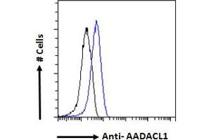 ABIN238671 Flow cytometric analysis of paraformaldehyde fixed A431 cells (blue line), permeabilized with 0. (NCEH1 Antikörper  (C-Term))
