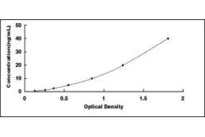 Typical standard curve (Flotillin 2 ELISA Kit)