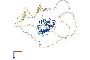 ARFGAP1 Protein (AA 1-414) (His tag)