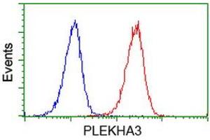 Flow cytometric Analysis of Jurkat cells, using anti-PLEKHA3 antibody (ABIN2454556), (Red), compared to a nonspecific negative control antibody, (Blue). (PLEKHA3 Antikörper)