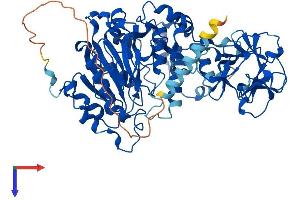 GALNT2 Protein (AA 1-570) (His tag)