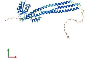 Protein Structure (PS) image for Protein Interacting With Protein Kinase C, alpha 1 (PICK1) (AA 1-416) protein (His tag) (ABIN7563941)
