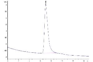 The purity of Human BCMA Trimer is greater than 95 % as determined by SEC-HPLC. (BCMA Protein (AA 1-54, Trimer) (His-Avi Tag))
