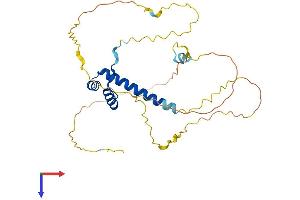 MSX1 Protein (AA 1-303) (His tag)