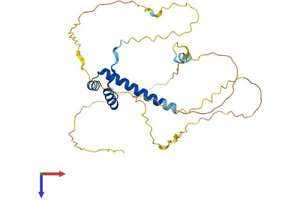 MSX1 Protein (AA 1-303) (His tag)