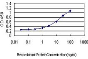 Detection limit for recombinant GST tagged HBB is approximately 0. (Hemoglobin Subunit beta Antikörper  (AA 38-147))