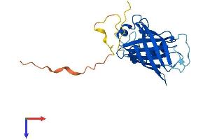 GID4 Protein (AA 1-217) (His tag)