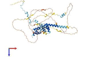 UBAP1 Protein (AA 1-502) (His tag)