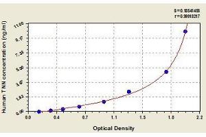 Typical standard curve (Tenascin N ELISA Kit)