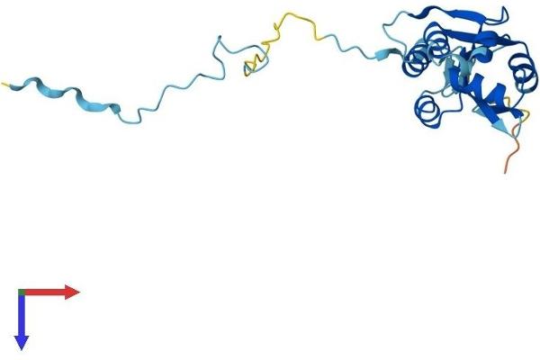 FCF1 Protein (AA 1-198) (His tag)
