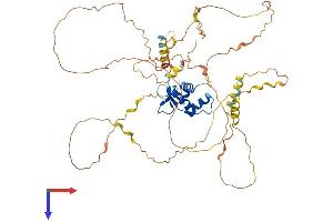 ERF Protein (AA 1-548) (His tag)
