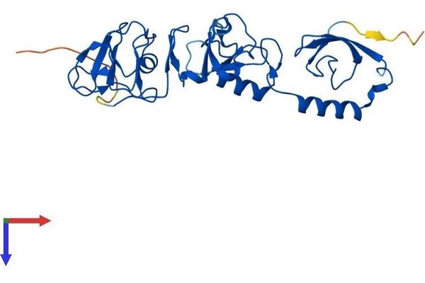 RCHY1 Protein (AA 1-261) (His tag)