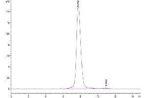 The purity of SARS-CoV-2 Spike S1 (Omicron BA. (SARS-CoV-2 Spike S1 Protein (BA.4 - Omicron, BA.5 - Omicron) (His tag))