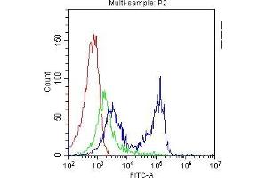 Flow Cytometry analysis of PBMC cells using anti-CD7 antibody . (CD7 Antikörper  (AA 26-172))