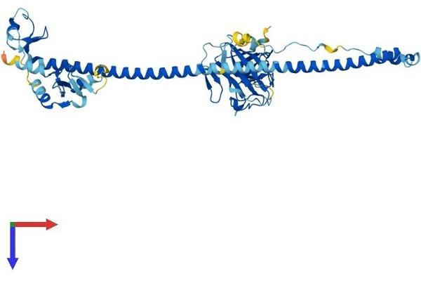 TRIM38 Protein (AA 1-465) (His tag)
