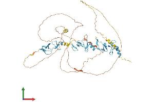 Protein Structure (PS) image for Ajuba LIM Protein (AJUBA) (AA 1-547) protein (His tag) (ABIN7564811)