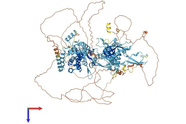 MCM9 Protein (AA 1-1134) (His tag)