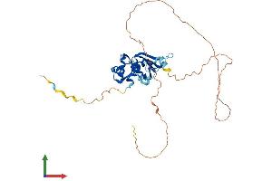Protein Structure (PS) image for Heterogeneous Nuclear Ribonucleoprotein A3 (HNRNPA3) (AA 1-379) protein (His tag) (ABIN7558513)