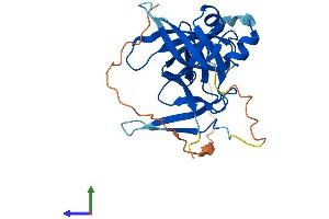 AlphaFold protein structure predicition of Human Recombinant SPIN3 Protein, UniprotID Q5JUX0