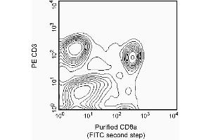 Stained with purified mAb OX-8 (CD8 alpha Antikörper)