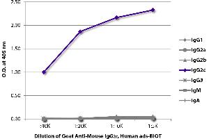 ELISA plate was coated with purified mouse IgG1, IgG2a, IgG2b, IgG2c, IgG3, IgM, and IgA. (Ziege anti-Maus IgG2c (Heavy Chain) Antikörper (Biotin))