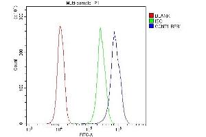 Flow Cytometry analysis of U937 cells using anti-Cyclin T1 antibody (ABIN4886509). (Cyclin T1 Antikörper  (Middle Region))