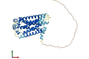 Protein Structure (PS) image for Sphingosine-1-Phosphate Receptor 2 (S1PR2) (AA 1-353) protein (His tag) (ABIN7545894)