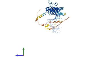 Protein Structure (PS) image for Purinergic Receptor P2X, Ligand Gated Ion Channel 2 (P2RX2) (AA 1-471) protein (His tag) (ABIN7554866)