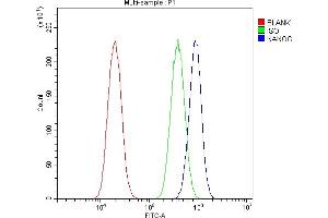 Flow Cytometry analysis of A549 cells using anti-Nanog antibody (ABIN5518779). (Nanog Antikörper  (Middle Region))