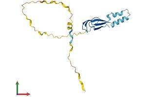 Protein Structure (PS) image for Lipopolysaccharide-Induced Tumor Necrosis Factor-alpha Factor (LITAF) (AA 1-161) protein (His tag) (ABIN7549047)