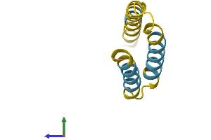 AlphaFold protein structure predicition of Human Recombinant SMIM10L2B Protein, UniprotID P0DMW5 (SMIM10L2B (AA 1-78) protein (Fc Tag))