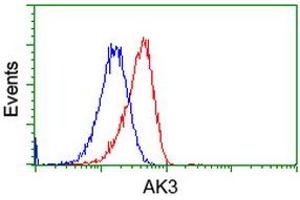 HEK293T cells transfected with either RC204408 overexpress plasmid (Red) or empty vector control plasmid (Blue) were immunostained by anti-AK3 antibody (ABIN2452715), and then analyzed by flow cytometry. (Adenylate Kinase 3 Antikörper)