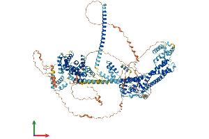 Protein Structure (PS) image for Diaphanous Homolog 3 (Drosophila) (DIAPH3) (AA 1-1193) protein (His tag) (ABIN7553710)