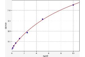 Typical standard curve (Bcl-2 ELISA Kit)