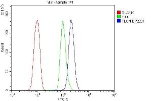 Flow Cytometry analysis of U937 cells using anti-FLCN antibody (ABIN7602491).