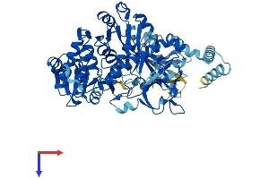 SLC27A4 Protein (AA 1-643) (His tag)