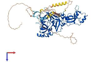 MBTD1 Protein (AA 1-631) (His tag)