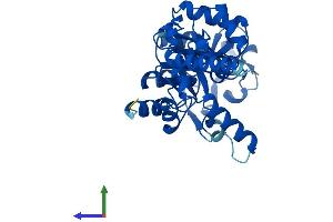 AlphaFold protein structure predicition of Human Recombinant GDPD1 Protein, UniprotID Q8N9F7 (GDPD1 Protein (AA 1-314) (His tag))