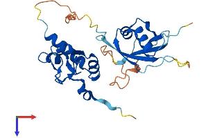 PCGF5 Protein (AA 1-256) (His tag)