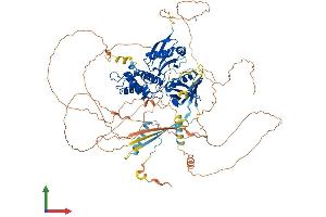 Protein Structure (PS) image for erythrocyte Membrane Protein Band 4.1-Like 1 (EPB41L1) (AA 1-881) protein (His tag) (ABIN7553729)