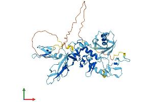 Protein Structure (PS) image for Parkinson Protein 2, E3 Ubiquitin Protein Ligase (Parkin) (PARK2) (AA 1-464) protein (His tag) (ABIN7565251)