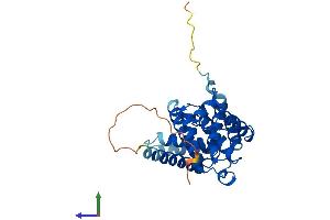 Protein Structure (PS) image for Cyclin D1 (CCND1) (AA 1-295) protein (His tag) (ABIN7563007)