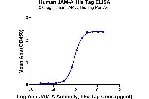 ELISA image for F11 Receptor (F11R) (AA 28-238) protein (His tag) (ABIN7275080)
