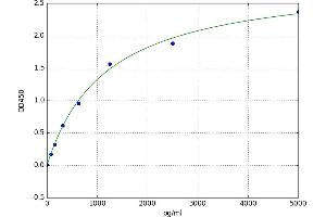 Chemokine (C-X-C Motif) Receptor 4 (CXCR4) ELISA Kit