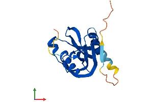 Protein Structure (PS) image for Nudix (Nucleoside Diphosphate Linked Moiety X)-Type Motif 3 (NUDT3) (AA 1-172) protein (His tag) (ABIN7550197)