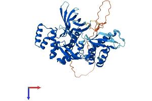 SNX31 Protein (AA 1-439) (His tag)