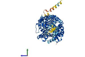 Protein Structure (PS) image for Taurine Transporter (TAUT) (AA 1-620) protein (His tag) (ABIN7551695)