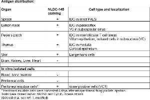Rat anti CD205 / DEC-205 / LY75 NLDC145 (LY75/DEC-205 Antikörper)