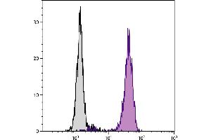 Human peripheral blood granulocytes were stained with Mouse Anti-Human CD16-BIOT. (CD16 Antikörper  (Biotin))